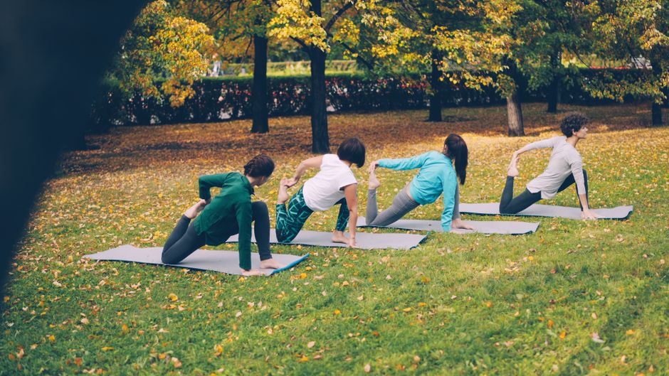 Adults practicing yoga poses on mats outdoors in a park during autumn